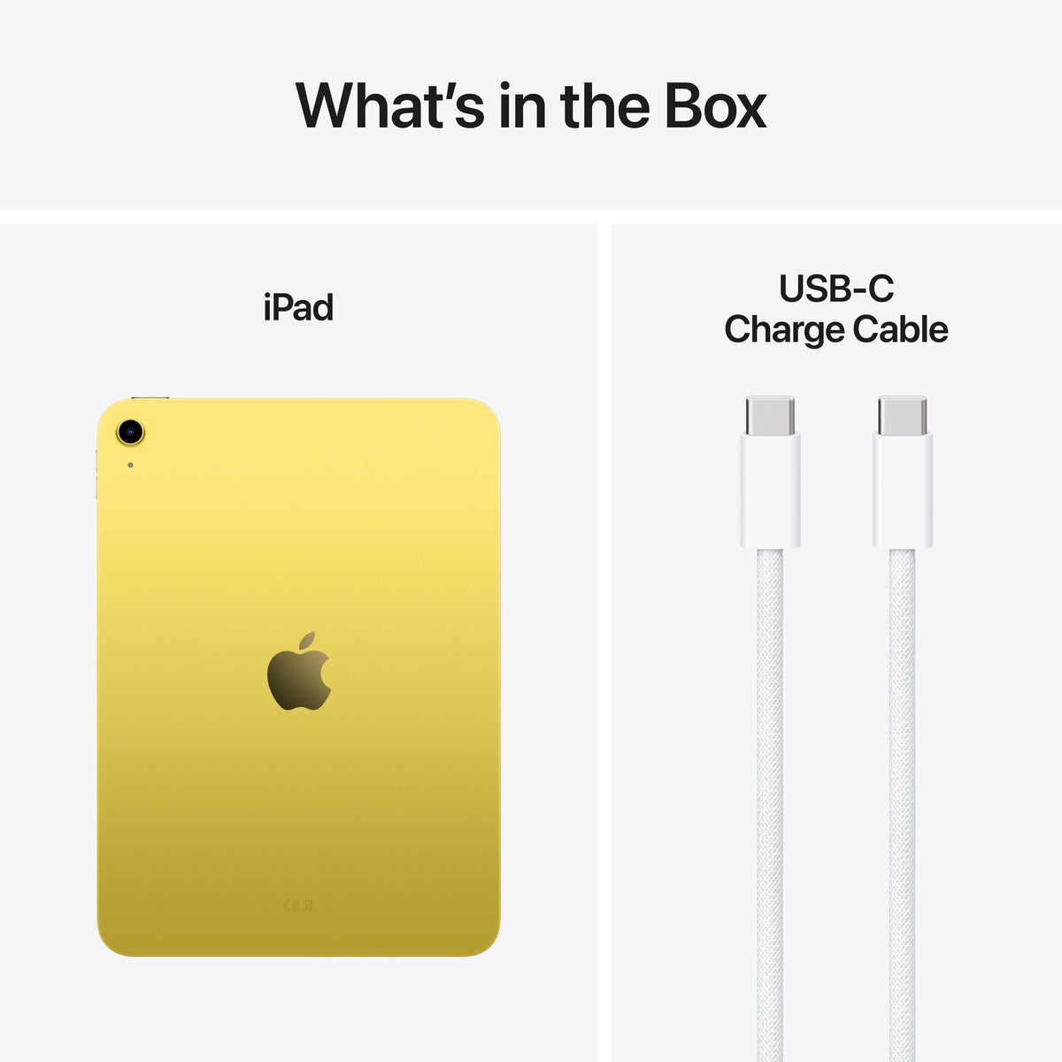 Apple iPad (A16)